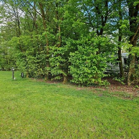 Lege Kampeerplaats, Camping Alkenhaer Appelscha Buitenkant foto