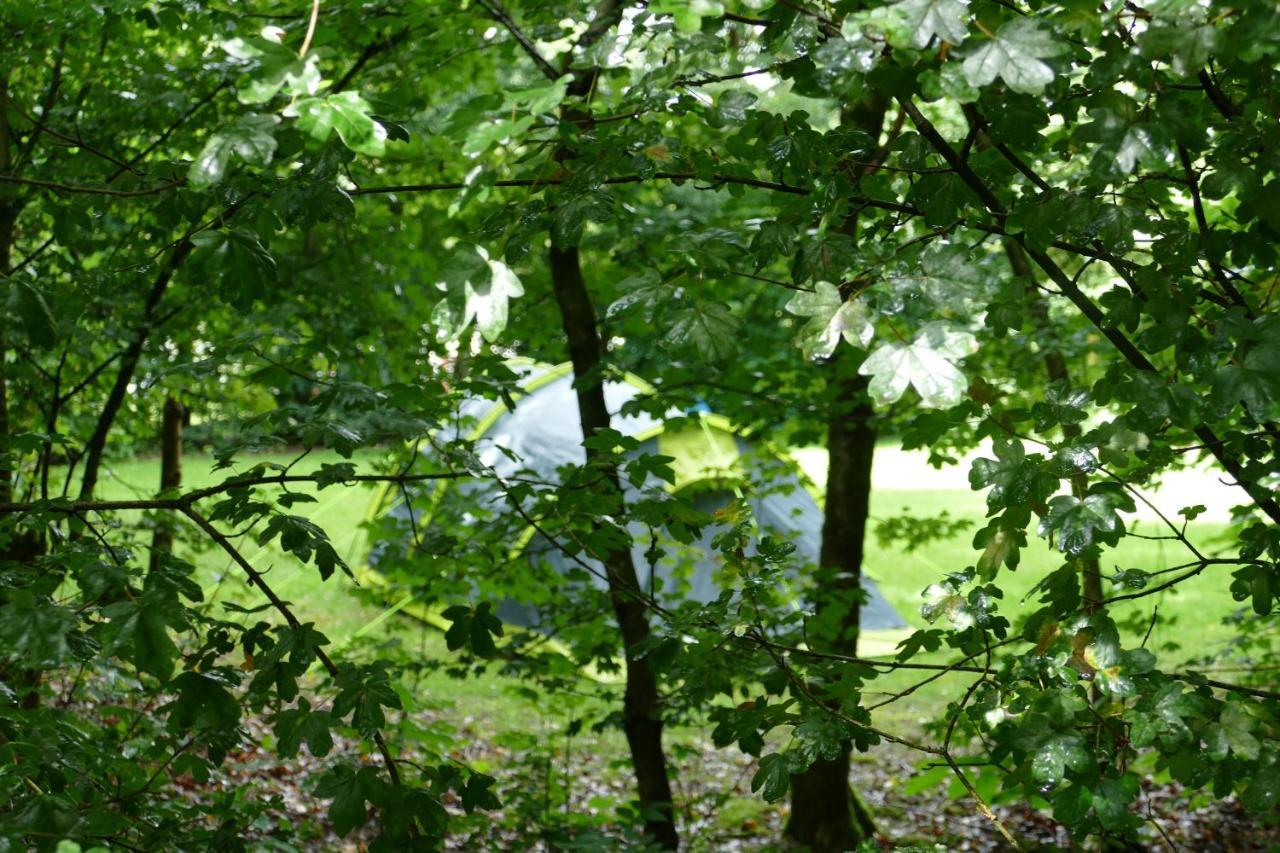 Lege Kampeerplaats, Camping Alkenhaer Appelscha Buitenkant foto
