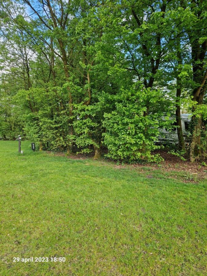 Lege Kampeerplaats, Camping Alkenhaer Appelscha Buitenkant foto